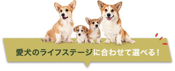愛犬のライフステージに合わせて選べる！
