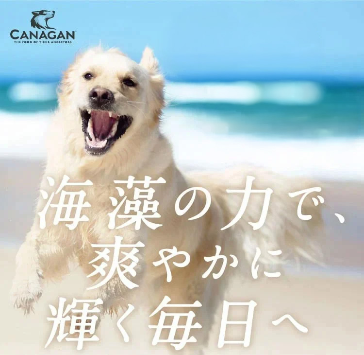 カナガンデンタル｜プロデン配合の特別なドッグフード